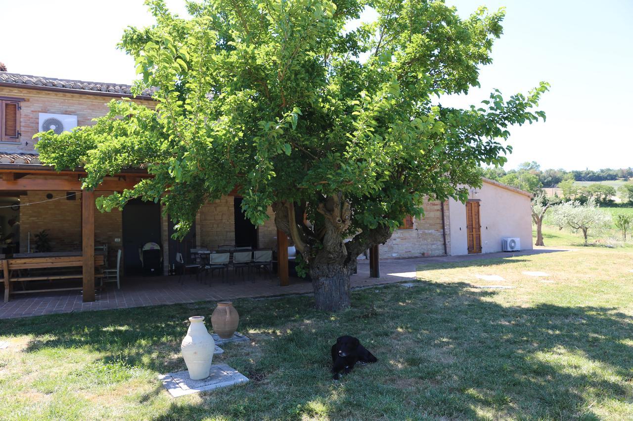 Villa Casale Talevi à Cartoceto Extérieur photo